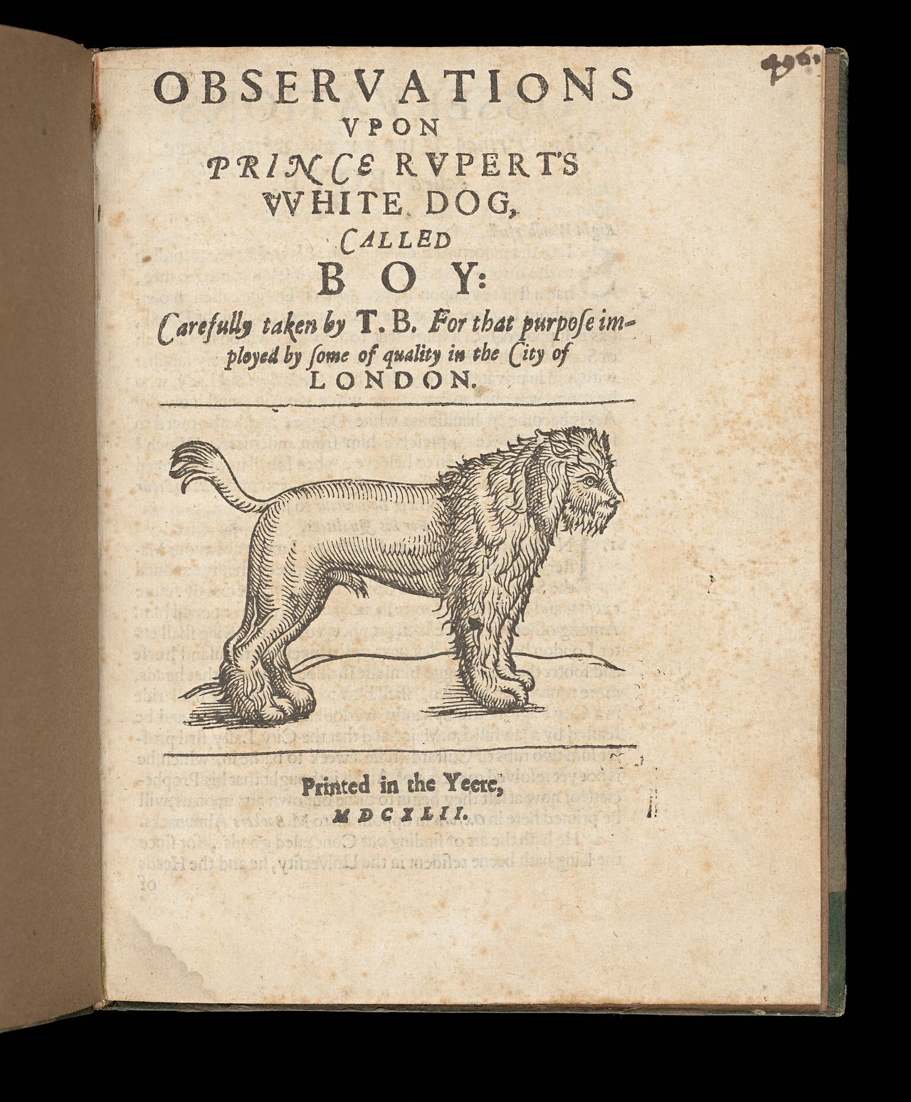 T.B., <em>Observations vpon Prince Rupert's vvhite dog, called Boy...</em>, London, 1643, State Library Victoria, Melbourne (RAREEMM 515/27)
